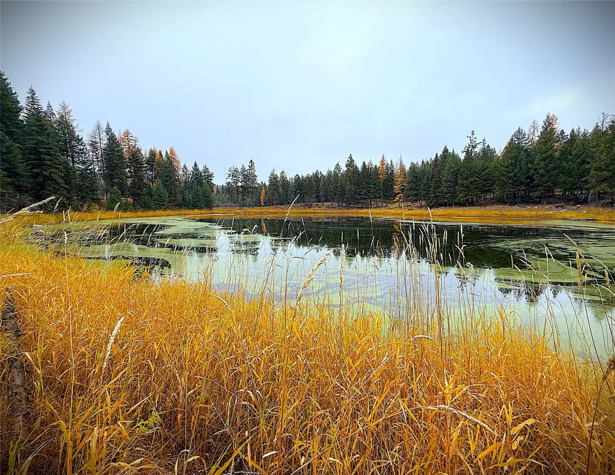 465 & NHN W Dodge Creek Road, Rexford, MT 59930 - Image #1