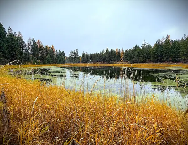 465 & NHN W Dodge Creek Road, Rexford, MT 59930