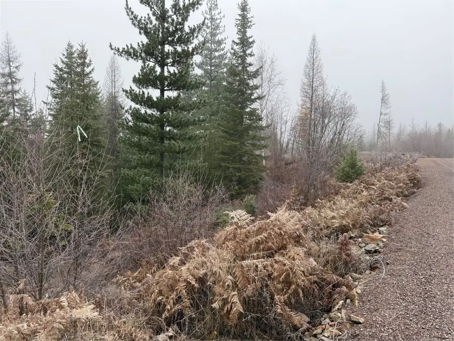 15B Lakota Loop, Troy, MT 59935 - Image #3