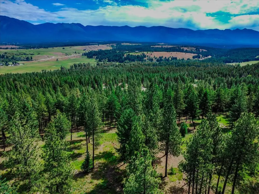 734 Hillandale Trail, Eureka, MT 59917 - Image #3