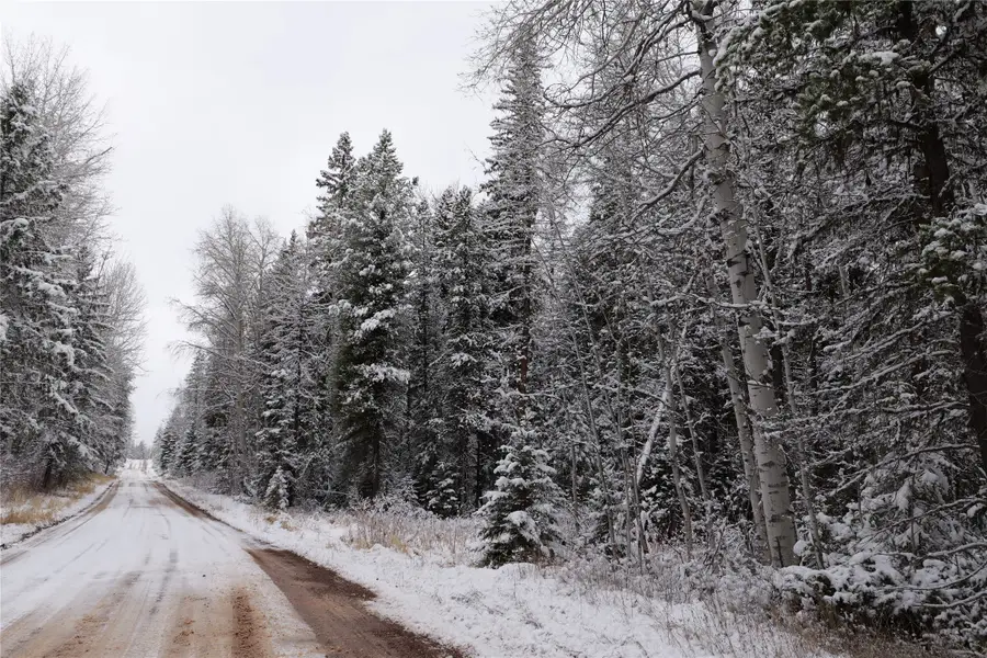 NhN Lindbergh Lake Road, Condon, MT 59826 - Image #2