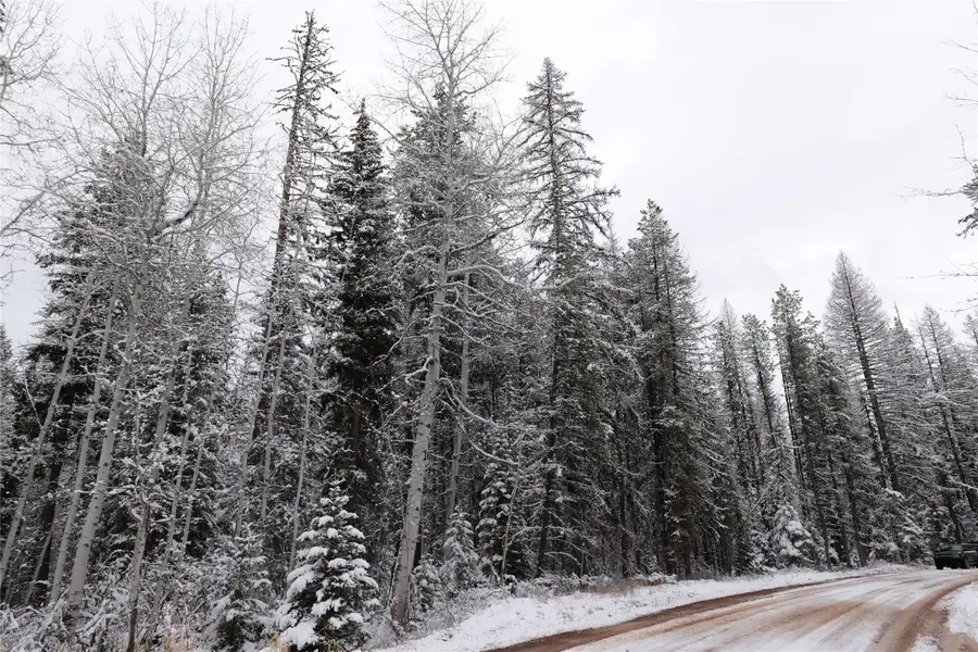 NhN Lindbergh Lake Road, Condon, MT 59826 - Image #3