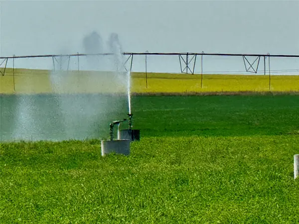 NHN 12th Lane, Fort Shaw, MT 59443