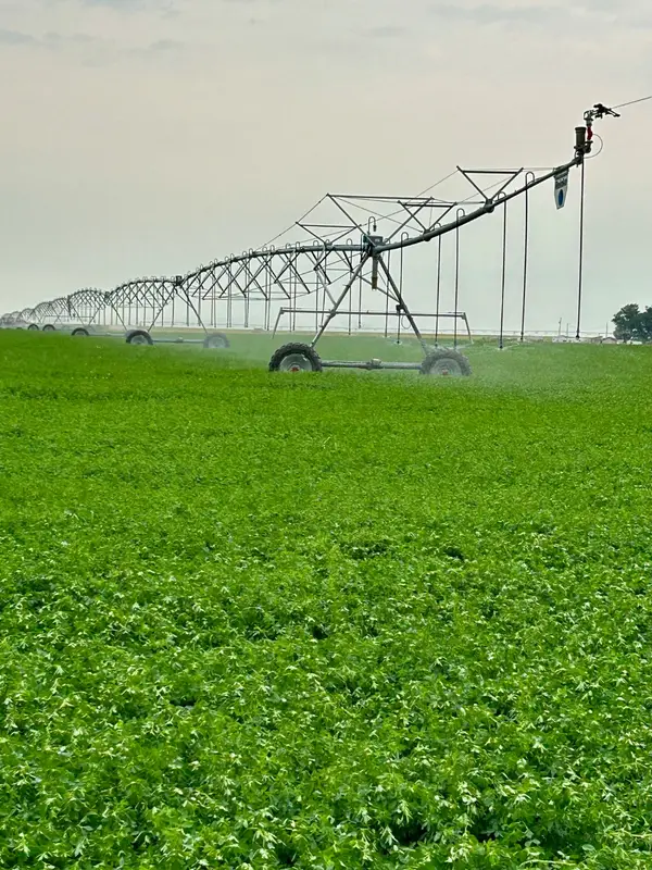 NHN 1st Road S And 12th Lane, Fort Shaw, MT 59443
