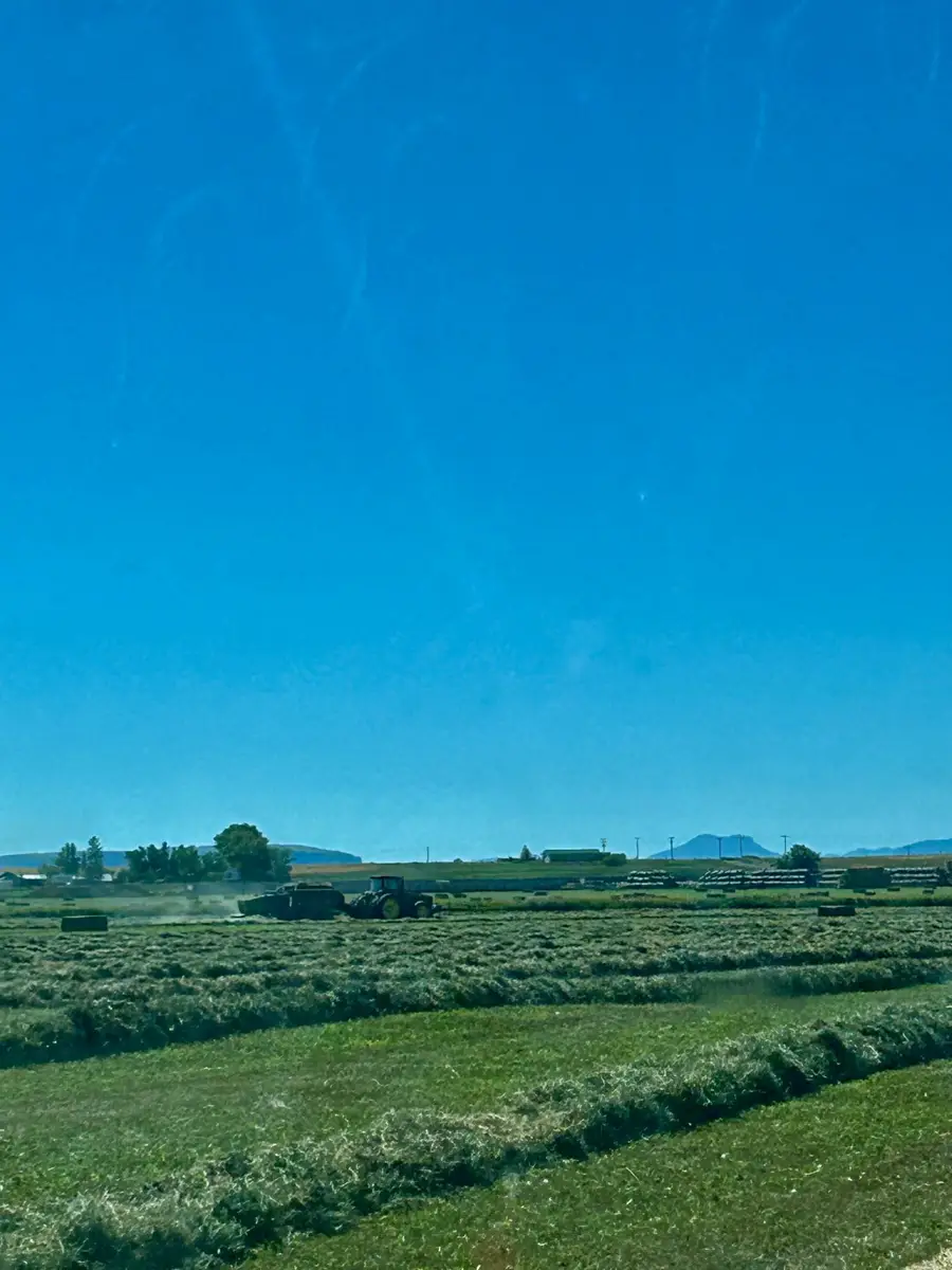 NHN 1st Road S, Fort Shaw, MT 59443 - Image #3