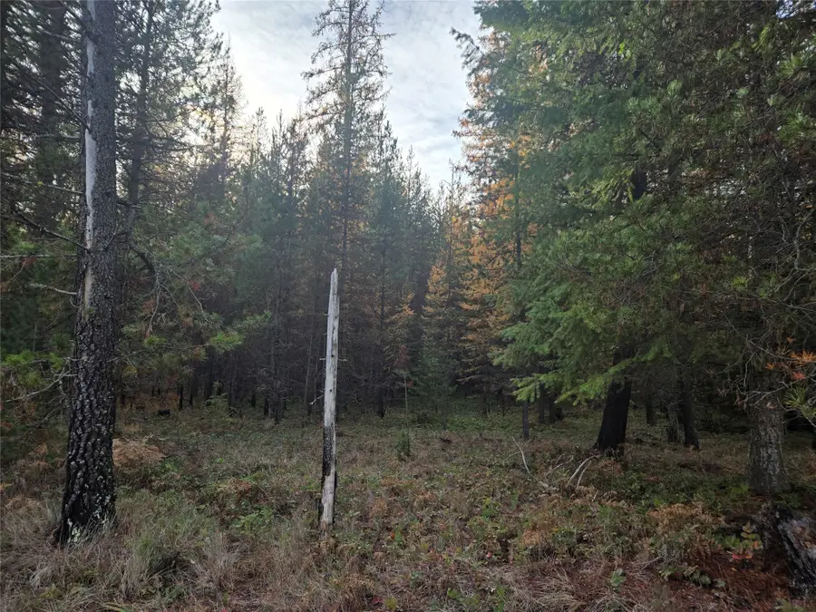 NHN Mt Hwy 200, Trout Creek, MT 59874 - Image #3