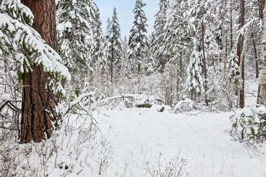 375 Ranch Road, Bigfork, MT 59911 - Image #3