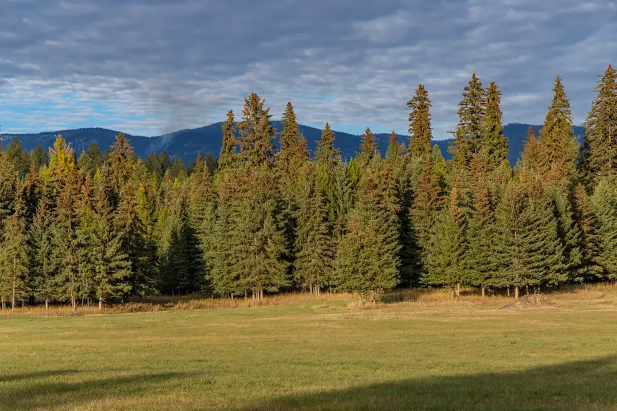 340 Tamarack Creek Road, Whitefish, MT 59937 - Image #3