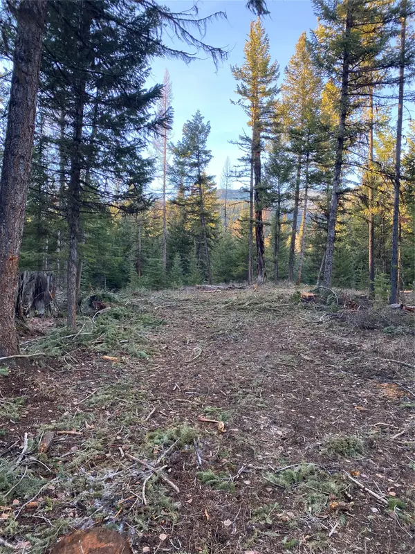 80 Blaney Lane, Kila, MT 59920