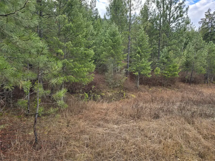 Lot 5 Tami Drive E, Superior, MT 59872 - Image #3