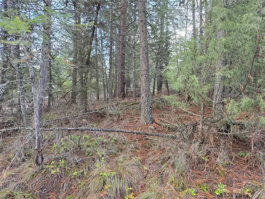 746 Tami Drive E, Superior, MT 59872 - Image #3