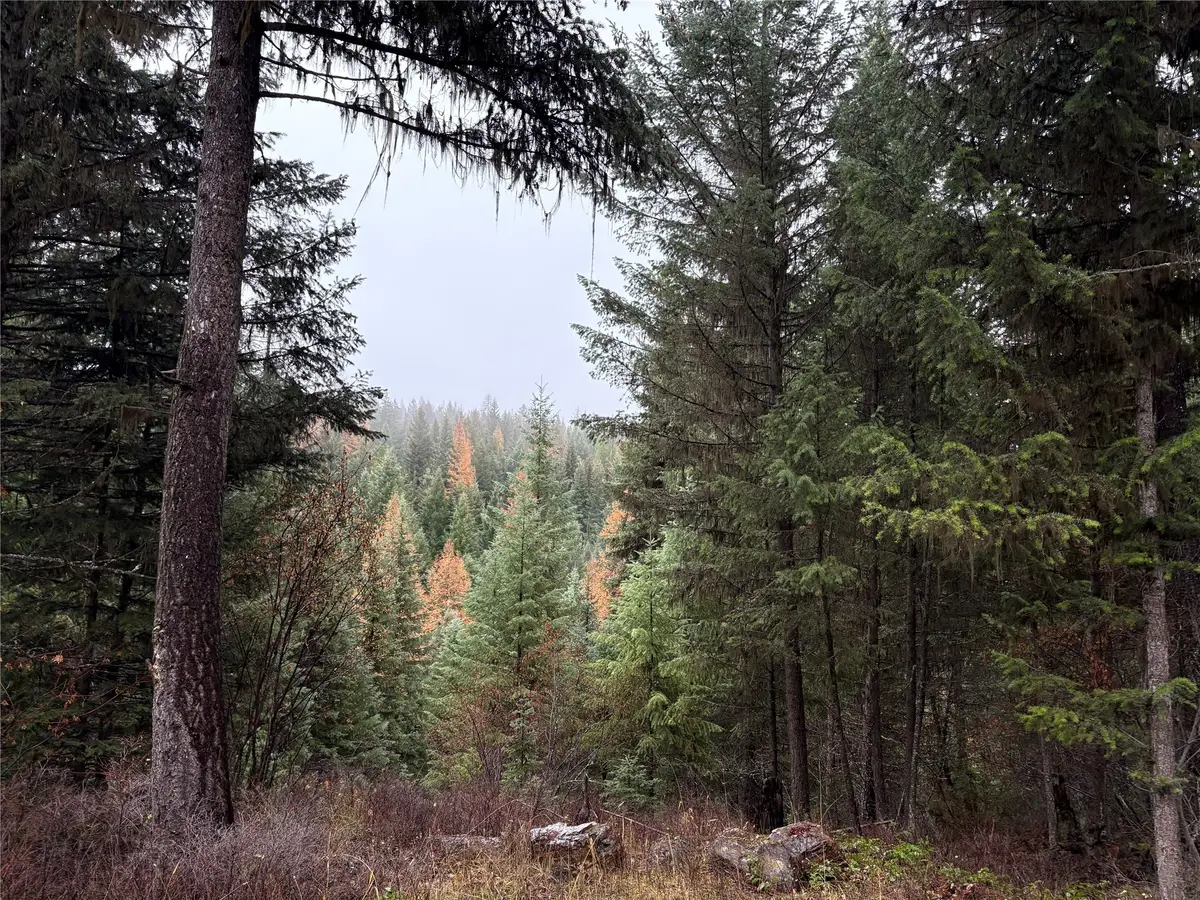 191 Hammond Valley Road, Trego, MT 59934 - Image #1