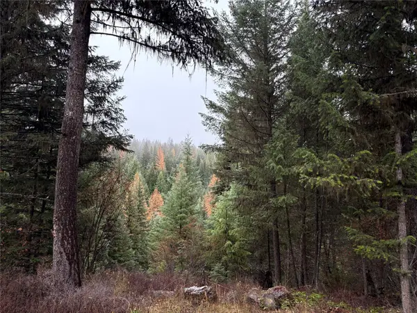 191 Hammond Valley Road, Trego, MT 59934