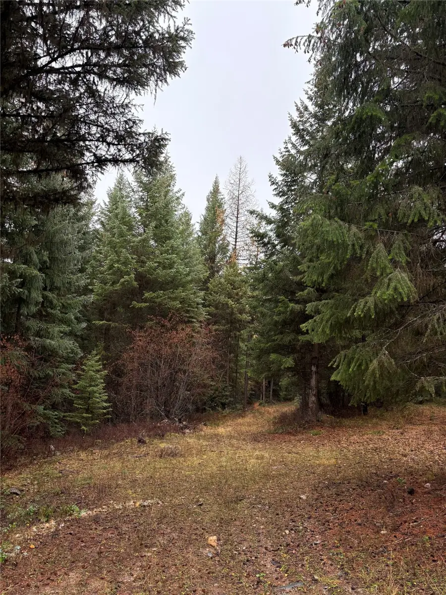 191 Hammond Valley Road, Trego, MT 59934 - Image #2