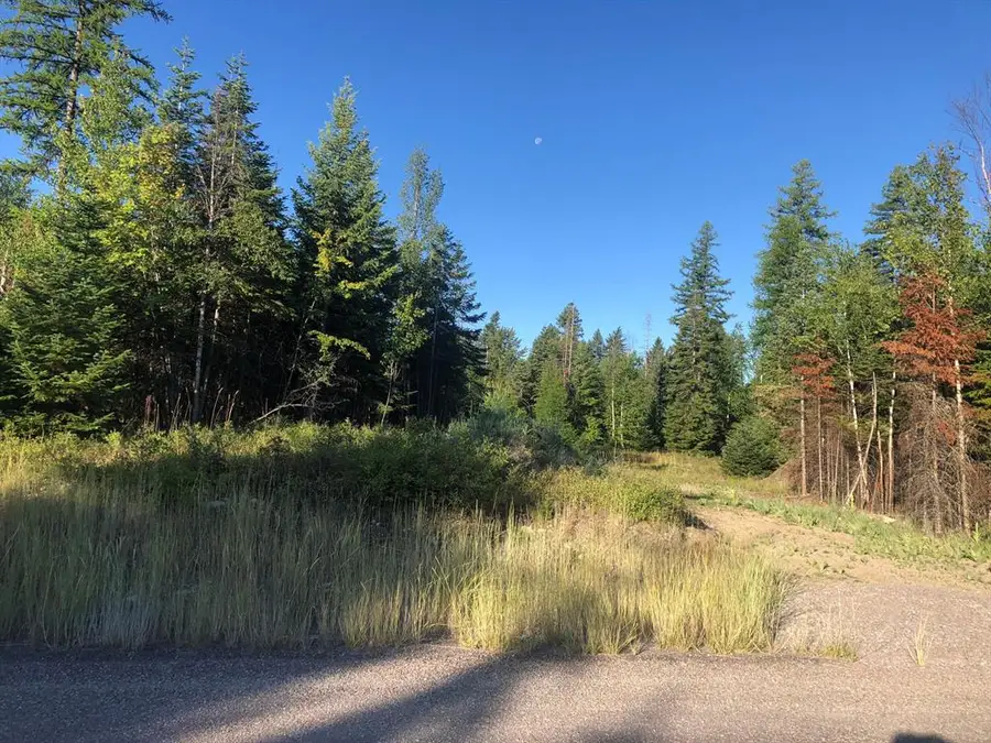 13523 Sundance Trail, Bigfork, MT 59911 - #2