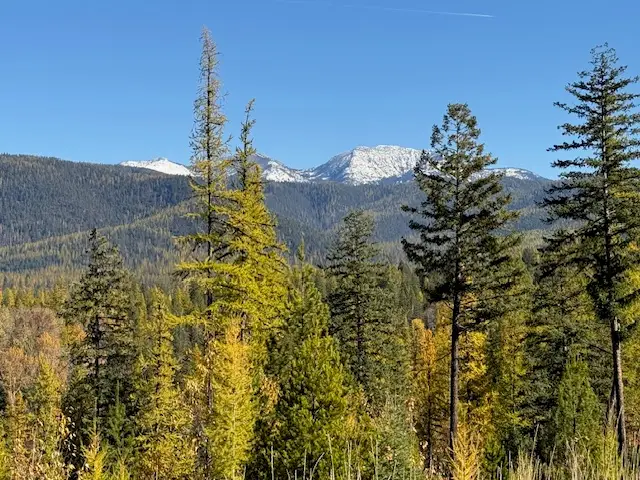 1414 Glacier Hills Drive, Martin City, MT 59926 - Image #2