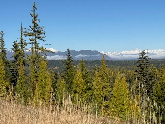 1414 Glacier Hills Drive, Martin City, MT 59926 - Image #3