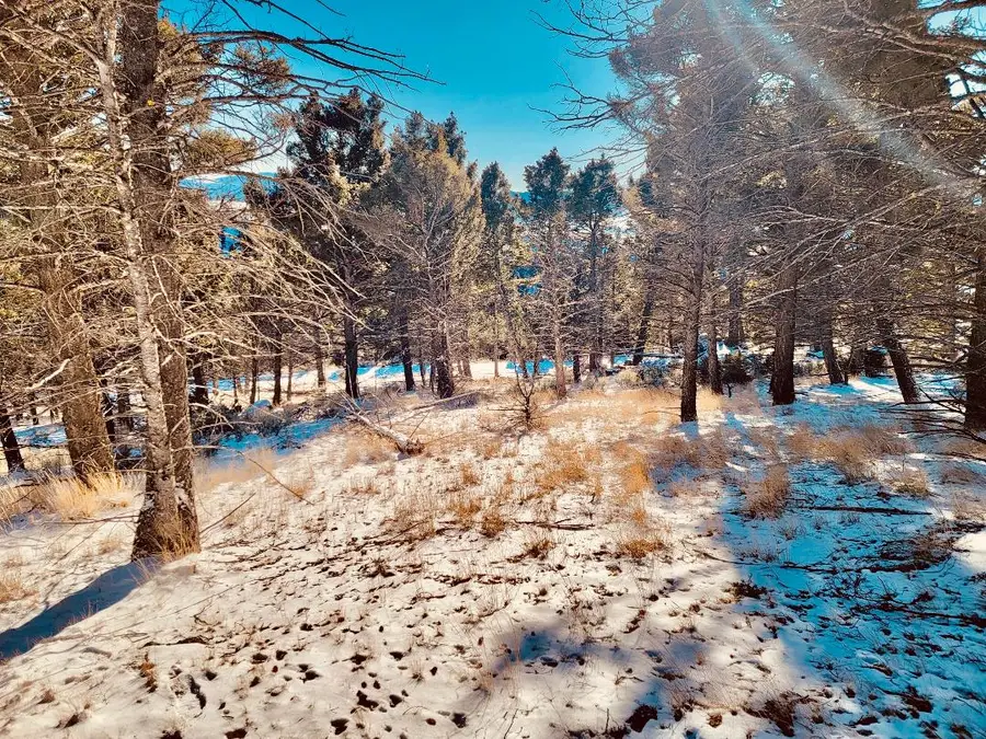 TBD Mining Claim Access, Basin, MT 59631 - Image #2