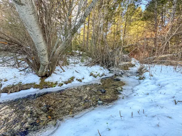 TBD Marysville Road, Marysville, MT 59640