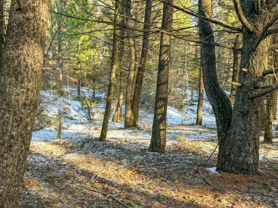 TBD Marysville Road, Marysville, MT 59640 - Image #3