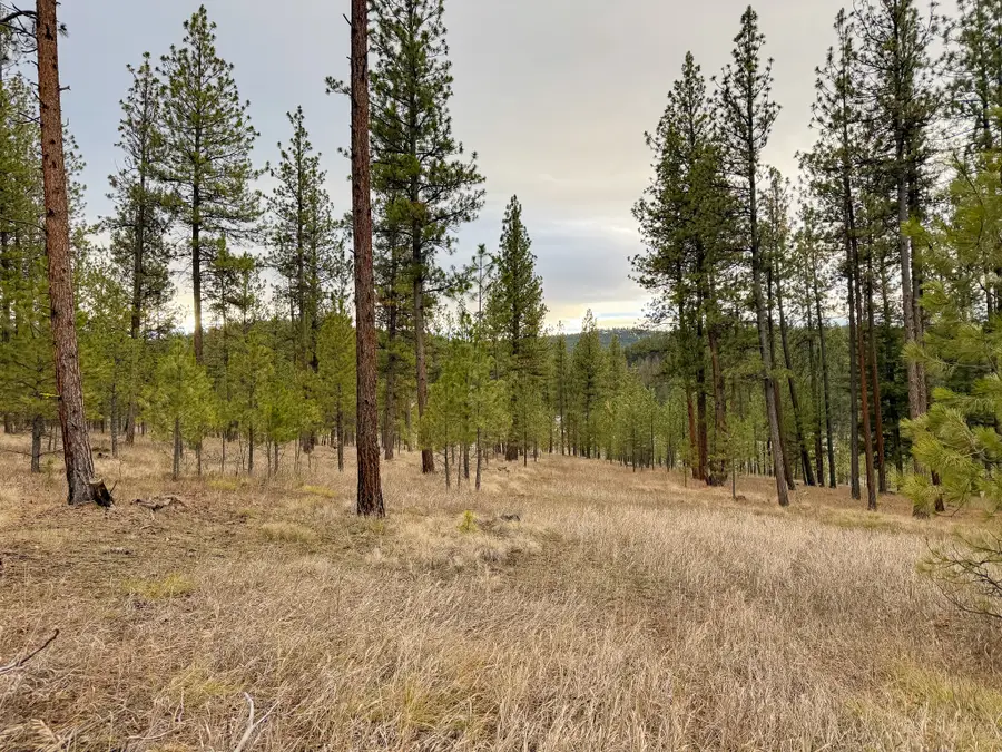 33658 Raghorn Road, Potomac, MT 59823 - #3