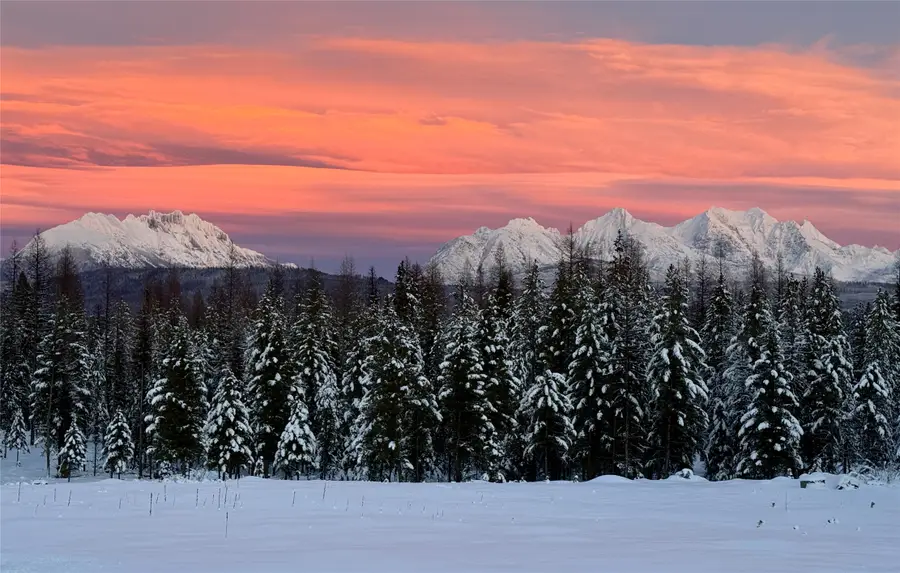 15645 North Fork Road, Polebridge, MT 59928 - Image #3