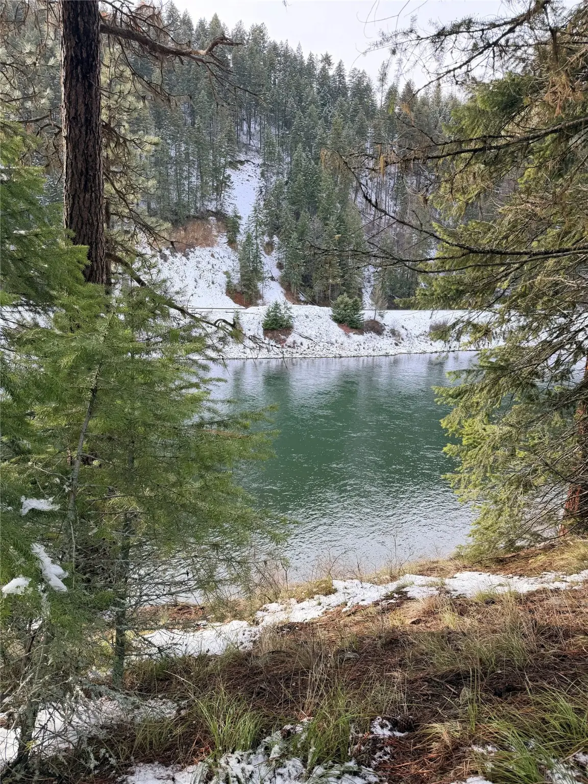 77 Trestle Creek Drive, Saint Regis, MT 59866 - #1