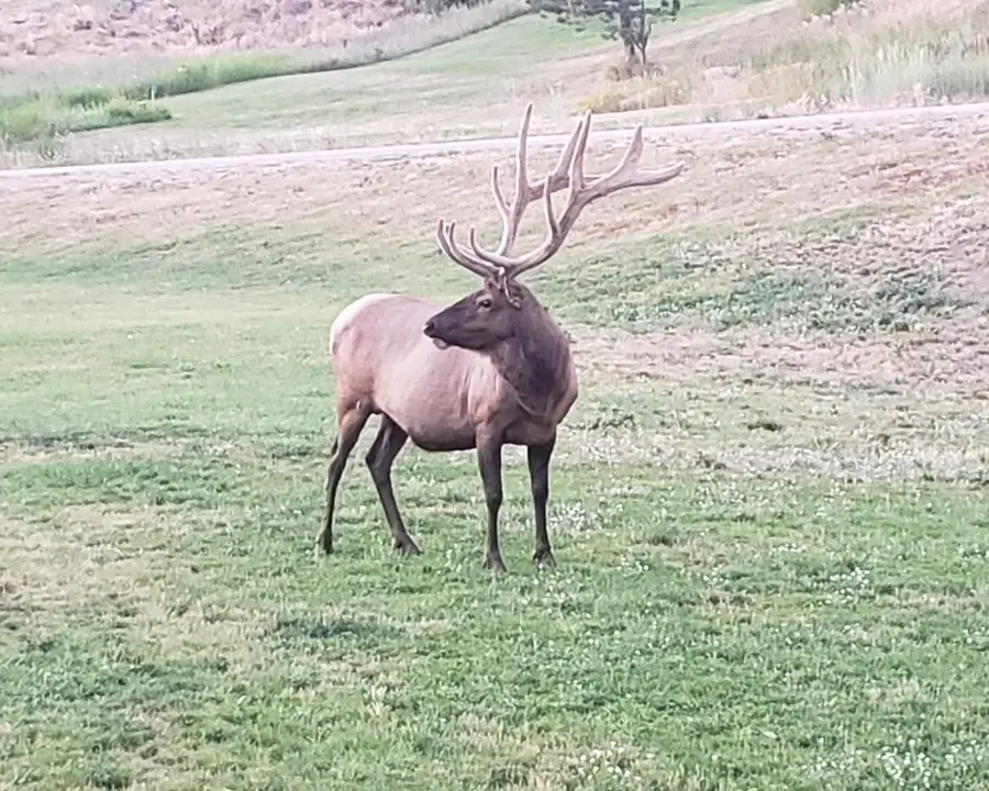 7 Creekside Lane, Clancy, MT 59634 - Image #2