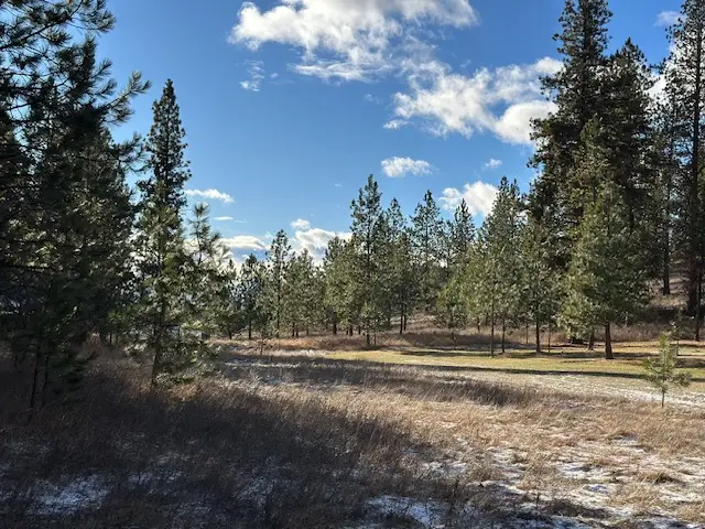 31861 Meadow Road, Polson, MT 59860 - Image #2