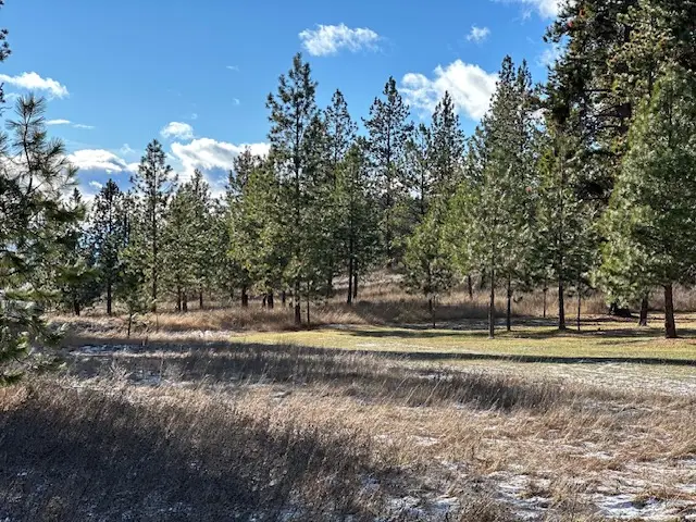 31861 Meadow Road, Polson, MT 59860 - Image #3