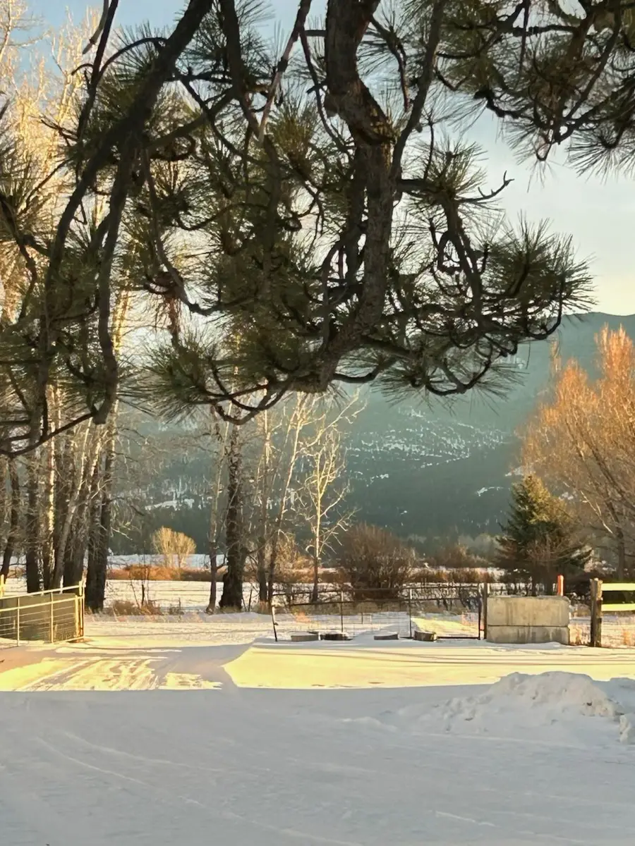 492 Stemple Pass Road, Lincoln, MT 59639 - Image #3