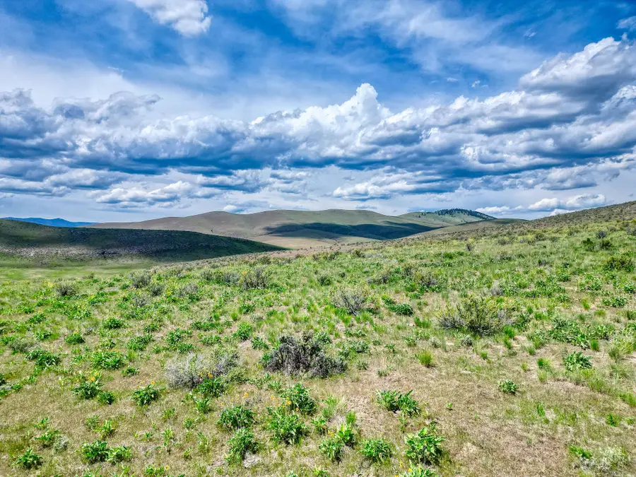 7800 Browns Meadow Road, Niarada, MT 59845 - #2