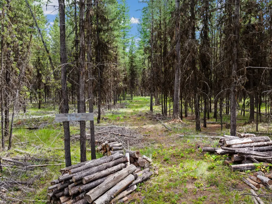 182 New Timber Ridge Trail, Marion, MT 59925 - Image #2