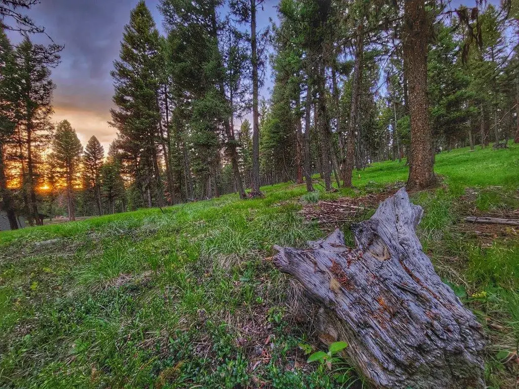 289 Seclusion Point, Seeley Lake, MT 59868 - #1