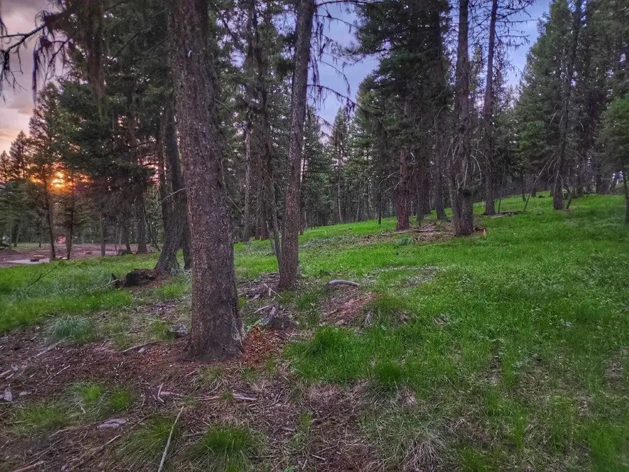 289 Seclusion Point, Seeley Lake, MT 59868 - #2