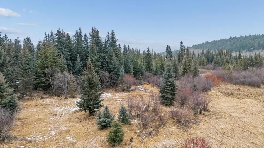 NHN Tobacco Road, Eureka, MT 59917 - Image #3