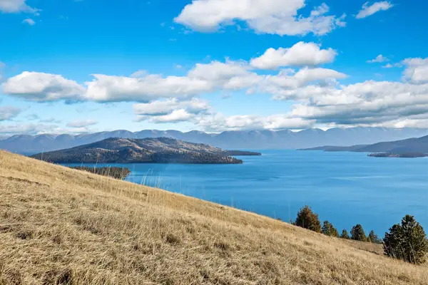 NHN Buffalo Road, Elmo, MT 59915