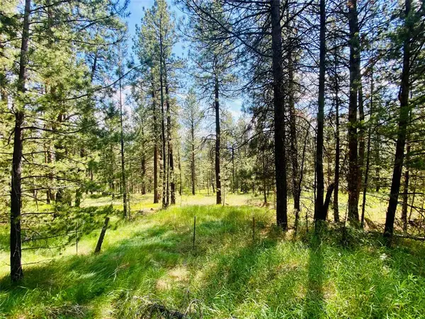 2890 Lower Lost Prairie Road, Marion, MT 59925