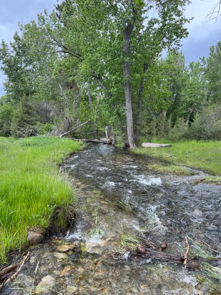 Lot 32-A Drovers Trail, Stevensville, MT 59870 - Image #2