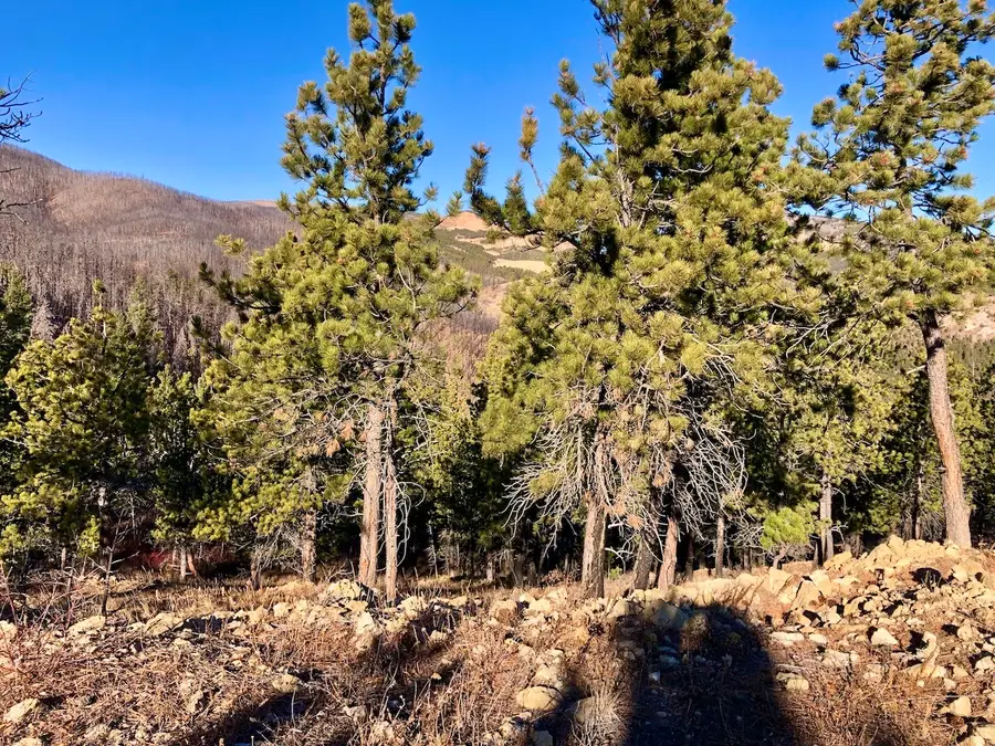NHN Pony Gulch, South Phillips, MT 59546 - #2