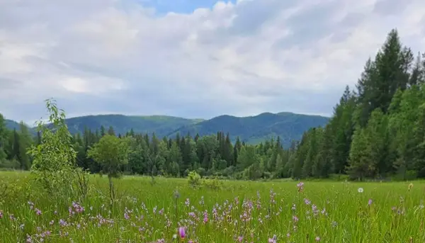 214 Aspen Lane, Columbia Falls, MT 59912