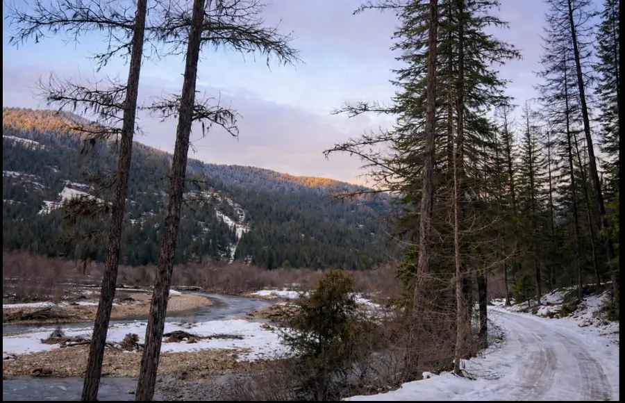 Nhn Hope Valley Road, Trout Creek, MT 59874 - #2