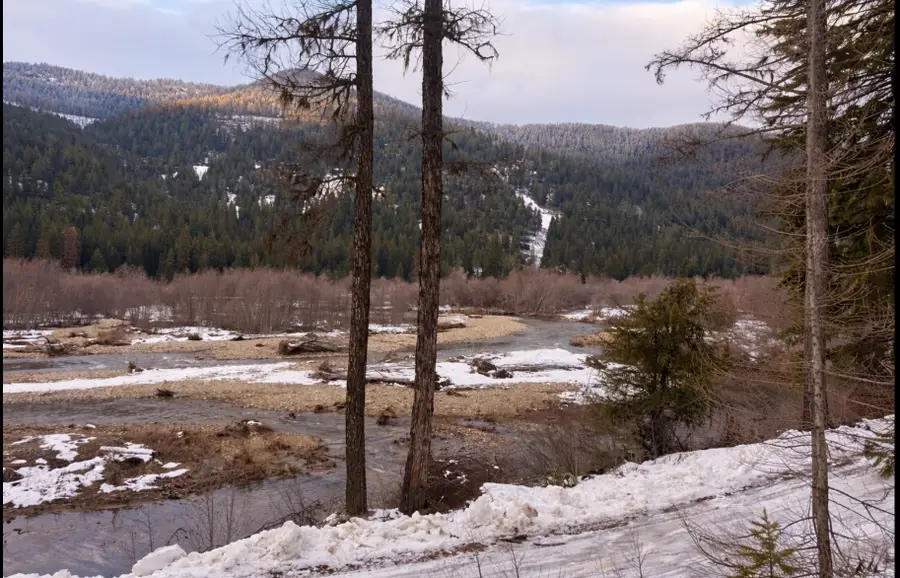 Nhn Hope Valley Road, Trout Creek, MT 59874 - #3