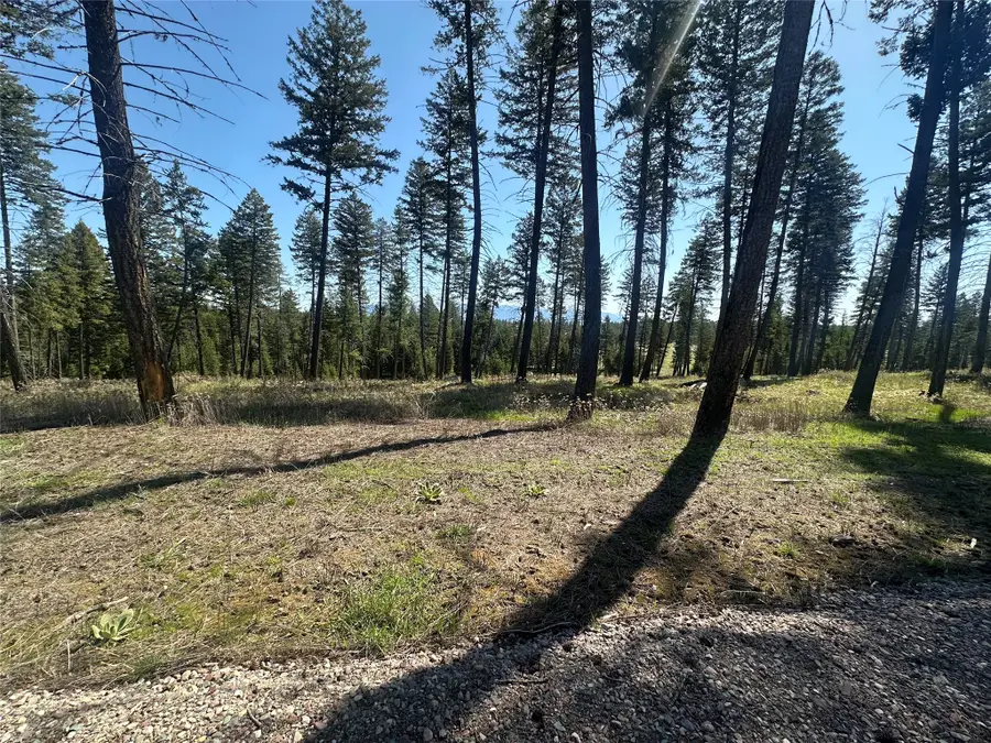 269 Layton Road, Whitefish, MT 59937 - #2
