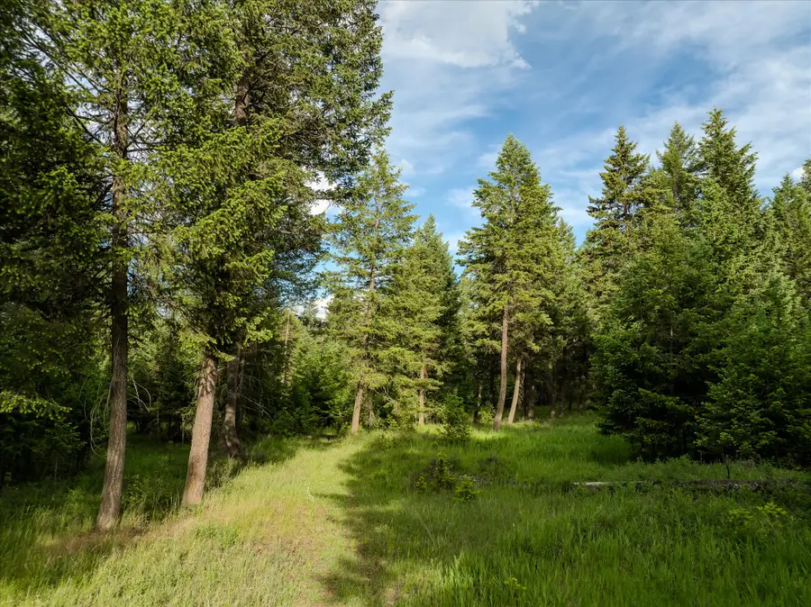 109 Lidstrom Road, Whitefish, MT 59937 - #3