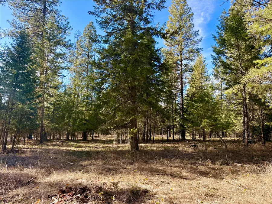 NHN Cherry Creek Road, Thompson Falls, MT 59873 - #3