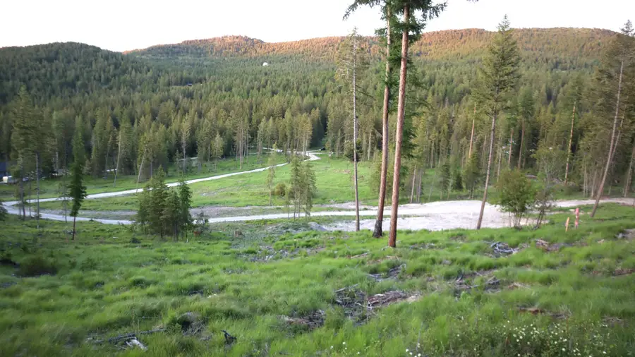 1186 Barbara's Way, Kila, MT 59920 - #2