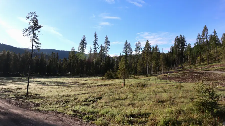 1186 Barbara's Way, Kila, MT 59920 - #3