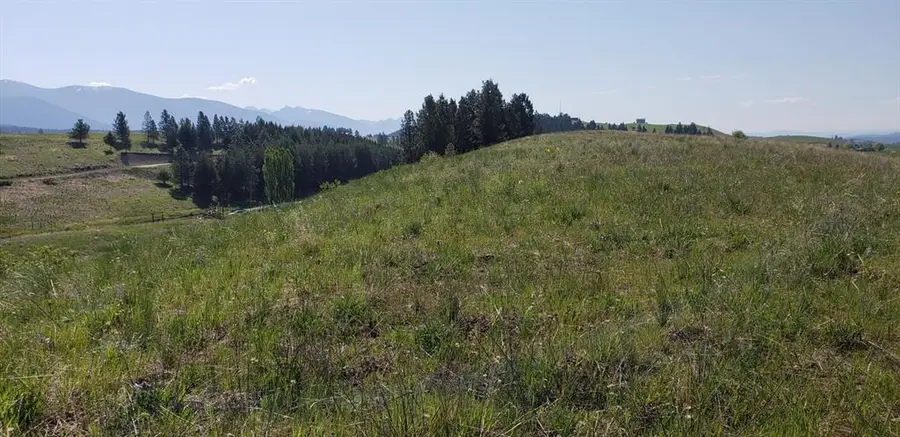 180 Grassy Loop, Eureka, MT 59917 - #3