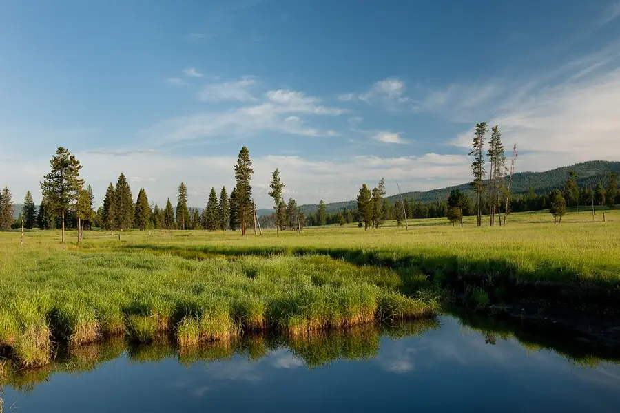 9701 Provence Lane, Marion, MT 59925 - #3